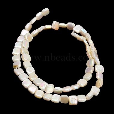 Electroplated Natural Freshwater Shell Beads Strands(SH-CBA93AD-05)-3