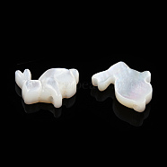 Natural White Shelll Beads, Rabbit, 11x12x3mm, Hole: 0.9mm(SSHEL-N032-60)