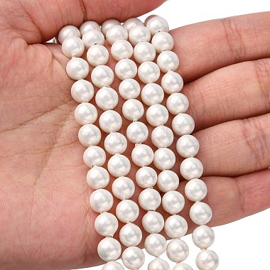 Chapelets de perles en coquille(X-BSHE-R146-6mm-02)-5