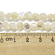 Natural White Shelll Beads Strands(SSHEL-H072-03)-4