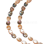 1 Strand Natural Paua Shell Beads Strands, Flat Oval, Colorful, 8~8.5x6~6.5x2.5~3.5mm, Hole: 0.5mm, about 49pcs/strand, 15.35''(39cm)(BSHE-ME0001-05)