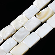 Natural Freshwater Shell Beads Strands, Rectangle, Seashell Color, 12x8x2.5~3mm, Hole: 1mm, about 32pcs/strand, 15.20~15.71 inch(38.6~39.9cm)(SHEL-Q024-013)
