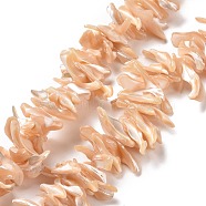 Natural Trochid Shell Beads Strands, Chip, PeachPuff, 2~11x22~25x5~8mm, Hole: 0.8mm, about 93~148pcs/strand, 14.57~15.94 inch(37~40.5cm)(SSHEL-G023-05C)