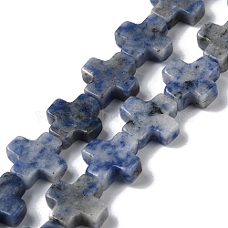 Natural Blue Spot Jasper Beads Strands, Cross, 13~13.5x12.5~13.5x4~5mm, Hole: 1mm, about 18pcs/strand, 9.21''(23.4cm)(G-M418-B09-01)