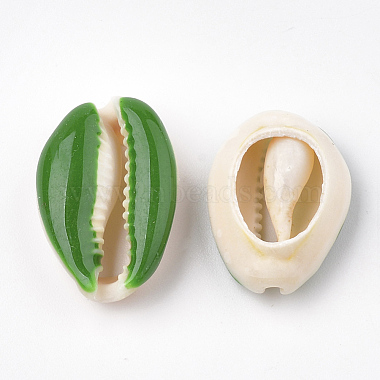 Natural Cowrie Shell Beads(X-SHEL-S274-04)-3