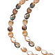 1 Strand Natural Paua Shell Beads Strands(BSHE-ME0001-05)-1