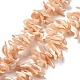 Natural Trochid Shell Beads Strands(SSHEL-G023-05C)-1