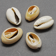 Natural Cowrie Shell Beads, Oval, No Hole/Undrilled, Bisque, 20~23x14~20x9~13mm(BSHE-Q296-1)