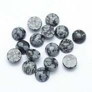 Natural Snowflake Obsidian Cabochons, Half Round, 4x2~4mm(G-P393-R55-4MM)