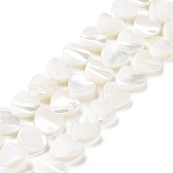 Natural Trochus Shell Beads Strands, Heart, White, 10x10x3.5mm, Hole: 0.7mm, about 42pcs/strand, 15.43''(39.2cm)(SSHEL-H070-06C)