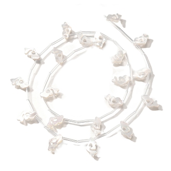 Natural White Shell Beads, Mermaid, Top Drilled, Creamy White, 13x6.5x2mm, Hole: 0.8mm