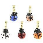 6Pcs Handmade Lampwork Pendants, Ladybug, with Rack Plating Golden Tone Brass Findings, Long-Lasting Plated, Mixed Color, 17x9x6.5mm, Hole: 4.5x4mm(LAMP-FS0001-57A)