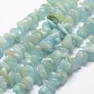 Natural Aquamarine Beads Strands, Nuggets, Medium Aquamarine, 10~20x4~8mm, Hole: 1mm, 15.3 inch(39cm)(G-F521-03A)