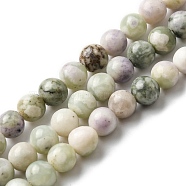 Natural Peace Jade Beads Strands, Round, 6mm, Hole: 1mm, about 66pcs/strand, 14.69''(37.3cm)(G-E598-04C)