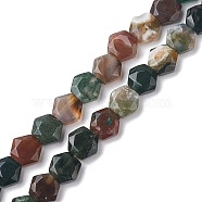 Natural Indian Agate Beads Strands, Faceted Hexagonal Cut, Hexagon, 8~8.5x9~9.5x4~4.5mm, Hole: 1mm, about 25pcs/strand, 8.11''(20.6cm)(G-K359-C14-01)