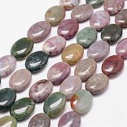 Natural Indian Agate Beads Strands, Oval, 18x13x6mm, Hole: 1.2mm, 22pcs/strand, 15.7 inch(G-N0173-02-13x18mm)