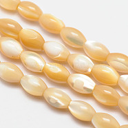 Natural Sea Shell Oval Bead Strands, Moccasin, 9x6mm, Hole: 1mm, about 47pcs/strand, 15.9 inch(SSHEL-M016-01B)