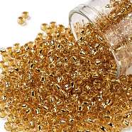 TOHO Round Seed Beads, Japanese Seed Beads, (753) 24K Gold Lined Rose Gold, 8/0, 3mm, Hole: 1mm, about 1110pcs/50g(SEED-XTR08-0753)