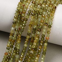 Natural Green Garnet Beads Strands, Faceted, Rondelle, 4x3mm, Hole: 0.7mm, about 130~131pcs/strand, 15.39~15.51 inch(39.1~39.4cm)(GG-CBAA9B4-C03-02)