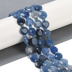 Dyed & Heated Natural Blue Aventurine Beads Strands, Faceted Pentagonal Cut, Flat Round, with Seed Beads, 10~10.5x5~6mm, Hole: 1mm, about 32~33pcs/strand, 15.75''(40cm)(G-C116-A57-01)