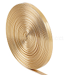 5M Flat Imitation Leather Cord, for Pillow Decor, Gold, 6x0.8mm, about 5.47 Yards(5m)/Roll(LC-GF0001-02B-01)