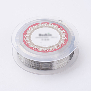 Steel Wire, Silver Color Plated, 0.1mm, 38 Gauge, 800m/roll(TWIR-E001-0.1mm)