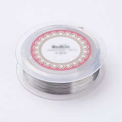 Steel Wire, Stainless Steel Color, 0.1mm, 38 Gauge, 800m/roll(TWIR-E001-0.1mm)