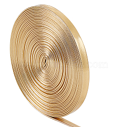 5M Flat Imitation Leather Cord, for Pillow Decor, Gold, 6x0.8mm, about 5.47 Yards(5m)/Roll(LC-GF0001-02B-01)
