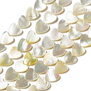 Natural White Shell Beads Strands, Heart, 11x11~11.5x1.5~2mm, Hole: 0.5mm, about 38pcs/strand, 15.35~15.55 inch(39~39.5cm)(SHEL-F003-01A)