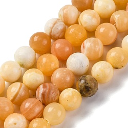 Natural Yellow Jade Beads Strands, Round, 10mm, Hole: 1.2mm, about 40pcs/strand, 14.92''(37.9cm)(G-F591-17-10MM)