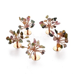 Natural Tourmaline Chips Display Decorations, with Golden Plated Brass Wires, Lucky Tree, 27~42.5x23.5~28x31.5~35mm(G-Z016-13J)