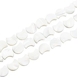 1 Strand Natural White Shell Beads Strands, Mother of Pearl Shell Beads, Moon, White, 12x11x3mm, Hole: 1mm, about 34pcs/strand(SSHEL-BC0001-18)