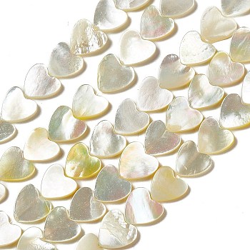 Natural White Shell Beads Strands, Heart, 11x11~11.5x1.5~2mm, Hole: 0.5mm, about 38pcs/strand, 15.35~15.55 inch(39~39.5cm)