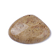Natural Fossil Coral Pendants(G-G779-02B)-2