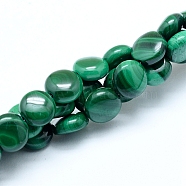 Natural Malachite Beads Strands, Round Flat, 8x4mm, Hole: 0.8mm, about 50pcs/strand, 15.75 inch(40cm)(G-D0011-06-8mm)