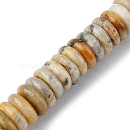 Natural Crazy Lace Agate Beads Strands, Disc, 12x3.5~4mm, Hole: 1.4mm, about 51pcs/strand, 7.48~8.19 inch(19~20.8cm)(G-F743-06J)