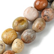 Natural Fossil Coral Beads Strands, Oval, Tumbled Stone, 7~12x8~10x6.5~8.5mm, Hole: 1~1.2mm, about 40~42pcs/strand, 14.76~15.16 inch(37.5cm)(G-G117-A01-01)