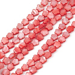 Natural Freshwater Shell Dyed Beads Strands, Flower, Red, 8x8.5x3mm, Hole: 0.6mm, about 49pcs/strand, 15.35''(39cm)(SHEL-K001-001B)
