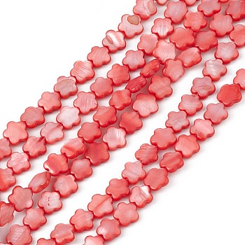 Natural Freshwater Shell Dyed Beads Strands, Flower, Red, 8x8.5x3mm, Hole: 0.6mm, about 49pcs/strand, 15.35''(39cm)