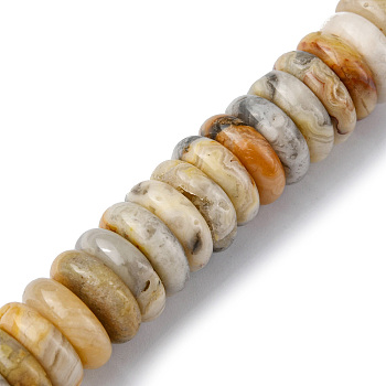 Natural Crazy Agate Beads Strands, Disc, 12x3.5~4mm, Hole: 1.4mm, about 51pcs/strand, 7.48~8.19 inch(19~20.8cm)