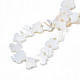 Freshwater Shell Beads Strands(SHEL-T009-A18)-4