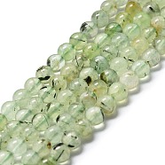 Natural Prehnite Beads Strands, Round, Pale Green, 6mm, Hole: 1mm(G-G457-6mm-03)