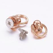 Accessories, Brass Screw nut, Iron Screws, Platinum & Golden, 17x8mm, Hole: 7mm(FIND-P024-03KCG)