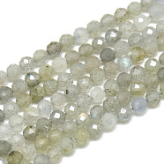 Natural Labradorite Beads Strands, Faceted, Round, 2~2.5mm, Hole: 0.3mm, about 177pcs/strand, 14.9 inch(G-S300-29-2mm)