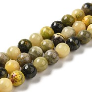 Natural Bumblebee Jasper Beads Strands, Round, 10mm, Hole: 1.2mm, about 40pcs/strand, 15.55''(39.5cm)(G-NH0008-01)