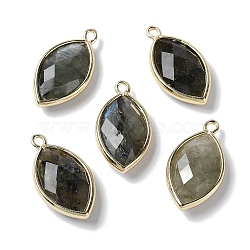 Natural Labradorite Pendants, with Platinum Brass Edge, Faceted, Horse Eye, 22x12x5.5mm, Hole: 1.8mm(X-G-B009-01G-R)