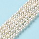 Natural Pearl Beads Strands(PEAR-E018-99)-2