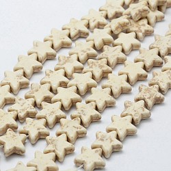 Synthetic Magnesite Bead Strands, Star, 15.5x15.5x5.5mm, Hole: 1mm, about 31pcs/strand, 14.9 inch(X-G-P228-57)