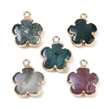 Natural Indian Agate Pendants, Flower Charms with Brass Findings, Golden, 23~24x21x6mm, Hole: 1.8mm