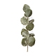6 個のペット用粘着植物装飾ステッカー(AJEW-Q146-01F)-2
